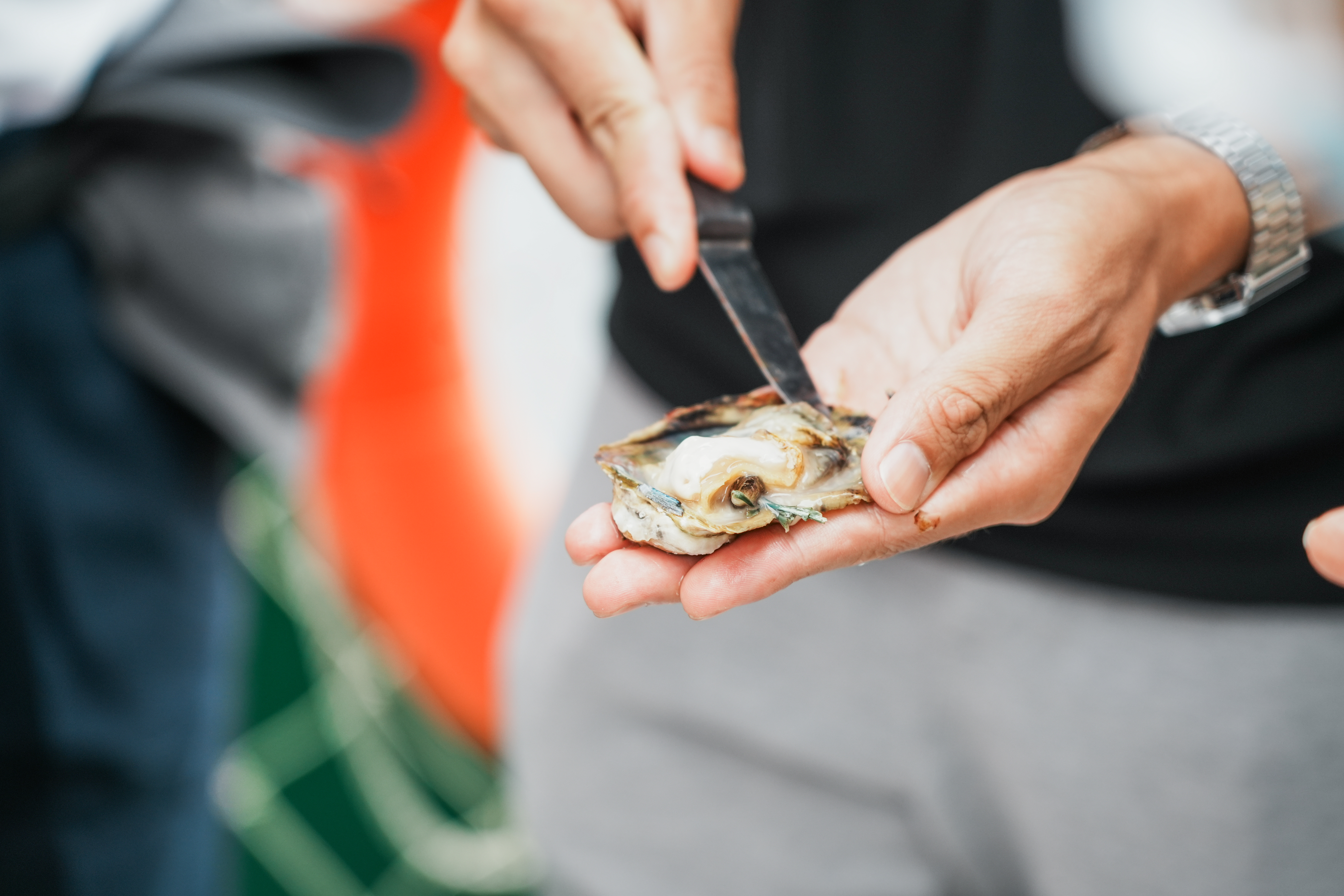 解剖珍珠蚌活動